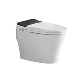 Smart Toilet-2213C